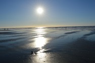 San Francisco Beaches