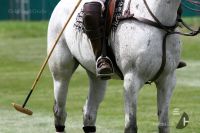 Fürstenberg Polo-Cup_Donaueschingen