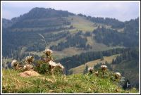 Naturpark Nagelfluhkette in Allgäu